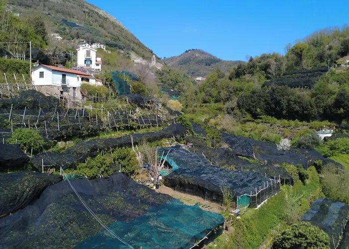 Antica Cartiera Sant\'Elia