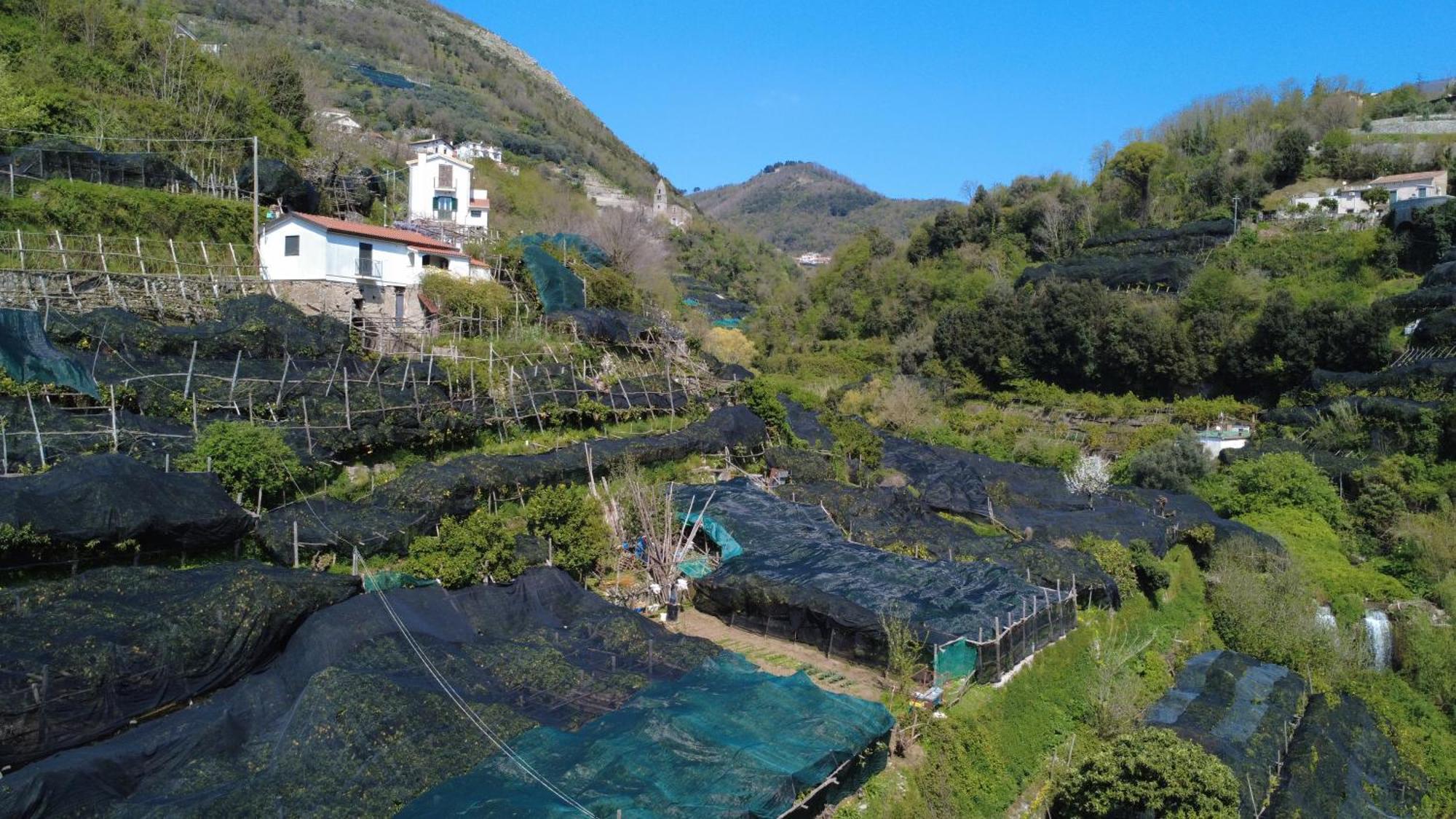 Antica Cartiera Sant'elia