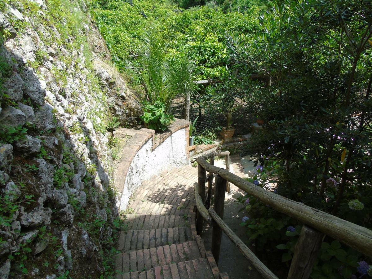 Antica Cartiera Sant'elia *
