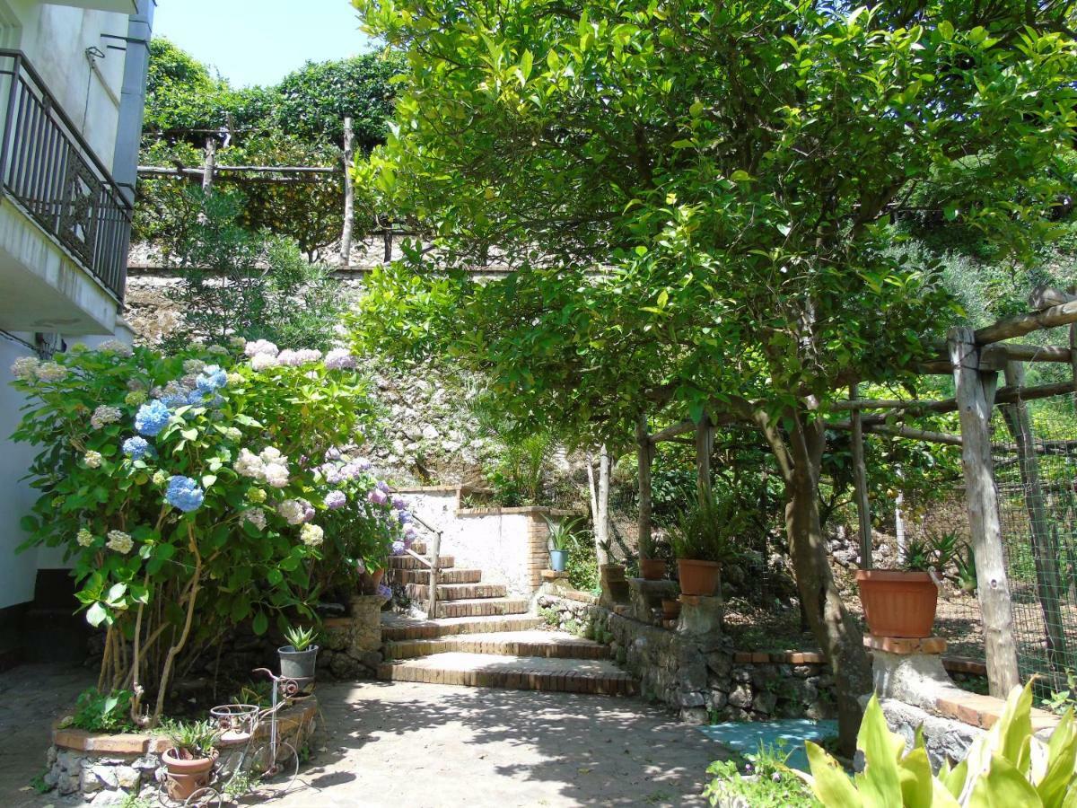 Apartment Antica Cartiera Sant'elia *