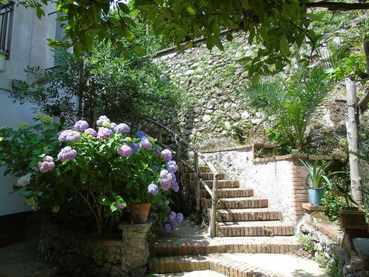 Apartment Antica Cartiera Sant'elia